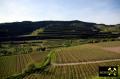 Der Kaiserstuhl in Baden-Württemberg, (D) (47) 10. Mai 2015 Blick ins Krottenbachtal.JPG